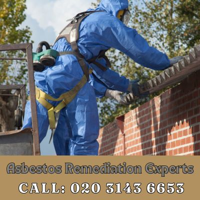 Asbestos Remediation Experts Garston