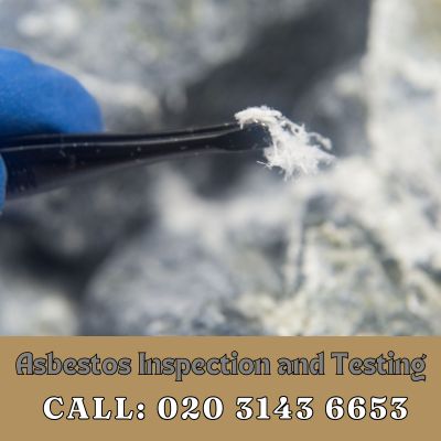 Comprehensive Asbestos Inspection and Testing Services in Garston